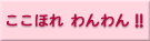 懸賞検索エンジン・ここほれわんわん!!